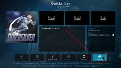 Install Quicksilver Kodi Addon